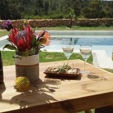 Stellar Overberg Travellers Lodge Napier Extérieur photo