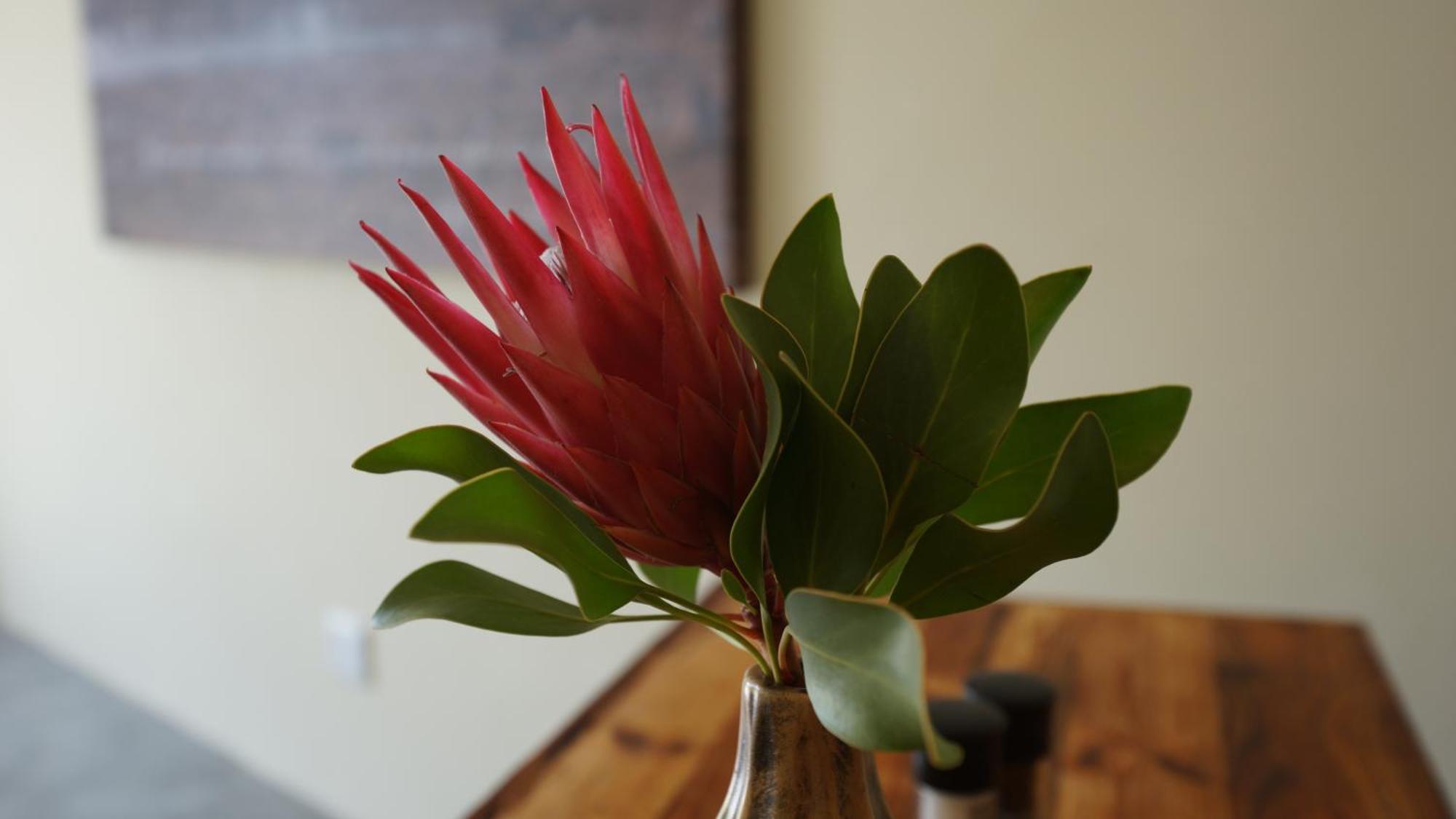 Stellar Overberg Travellers Lodge Napier Extérieur photo