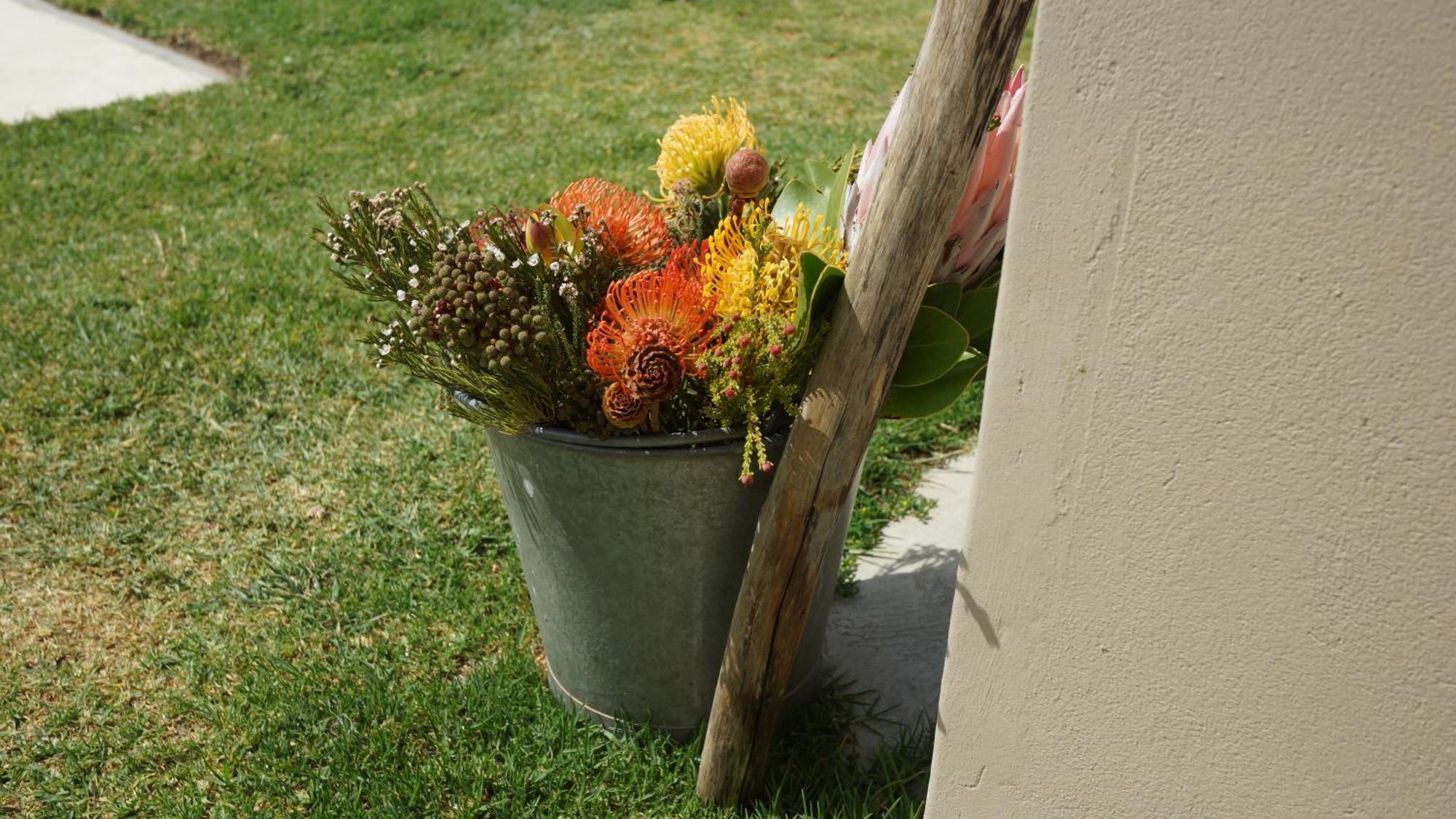 Stellar Overberg Travellers Lodge Napier Extérieur photo