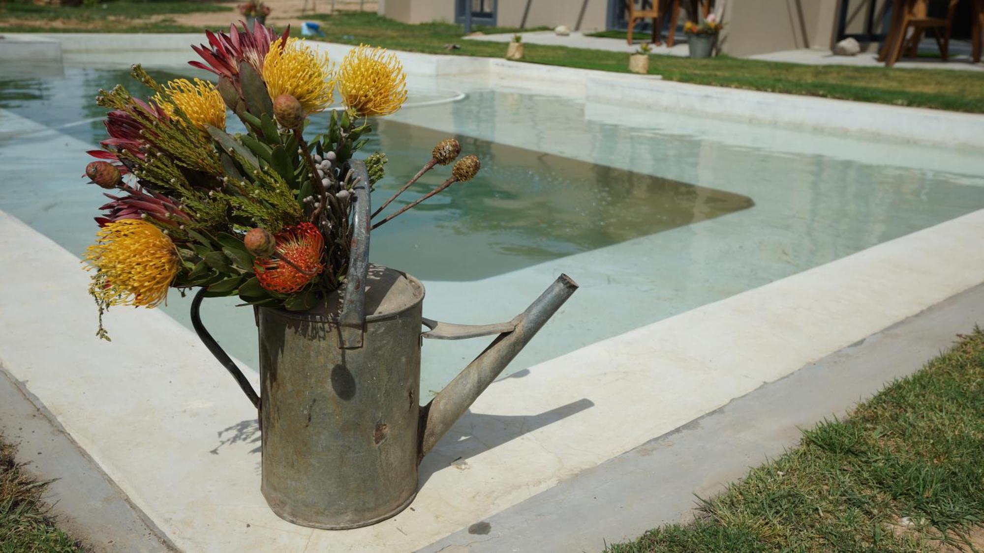 Stellar Overberg Travellers Lodge Napier Extérieur photo