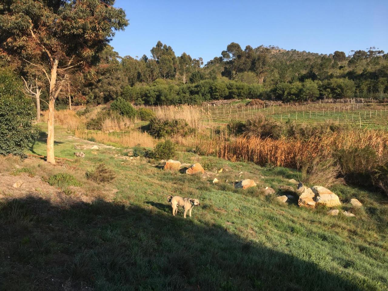 Stellar Overberg Travellers Lodge Napier Extérieur photo