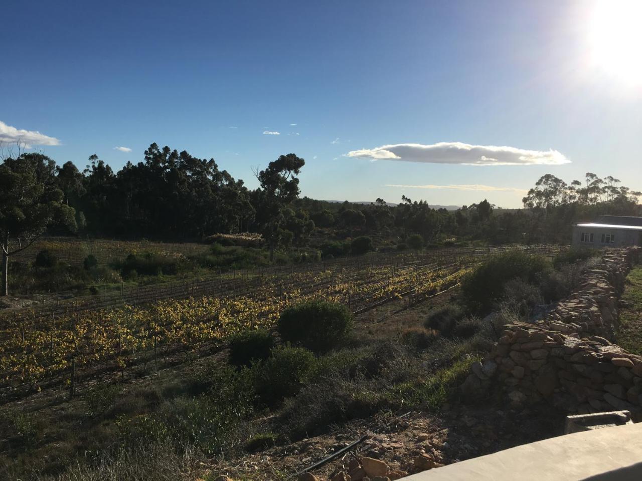 Stellar Overberg Travellers Lodge Napier Extérieur photo