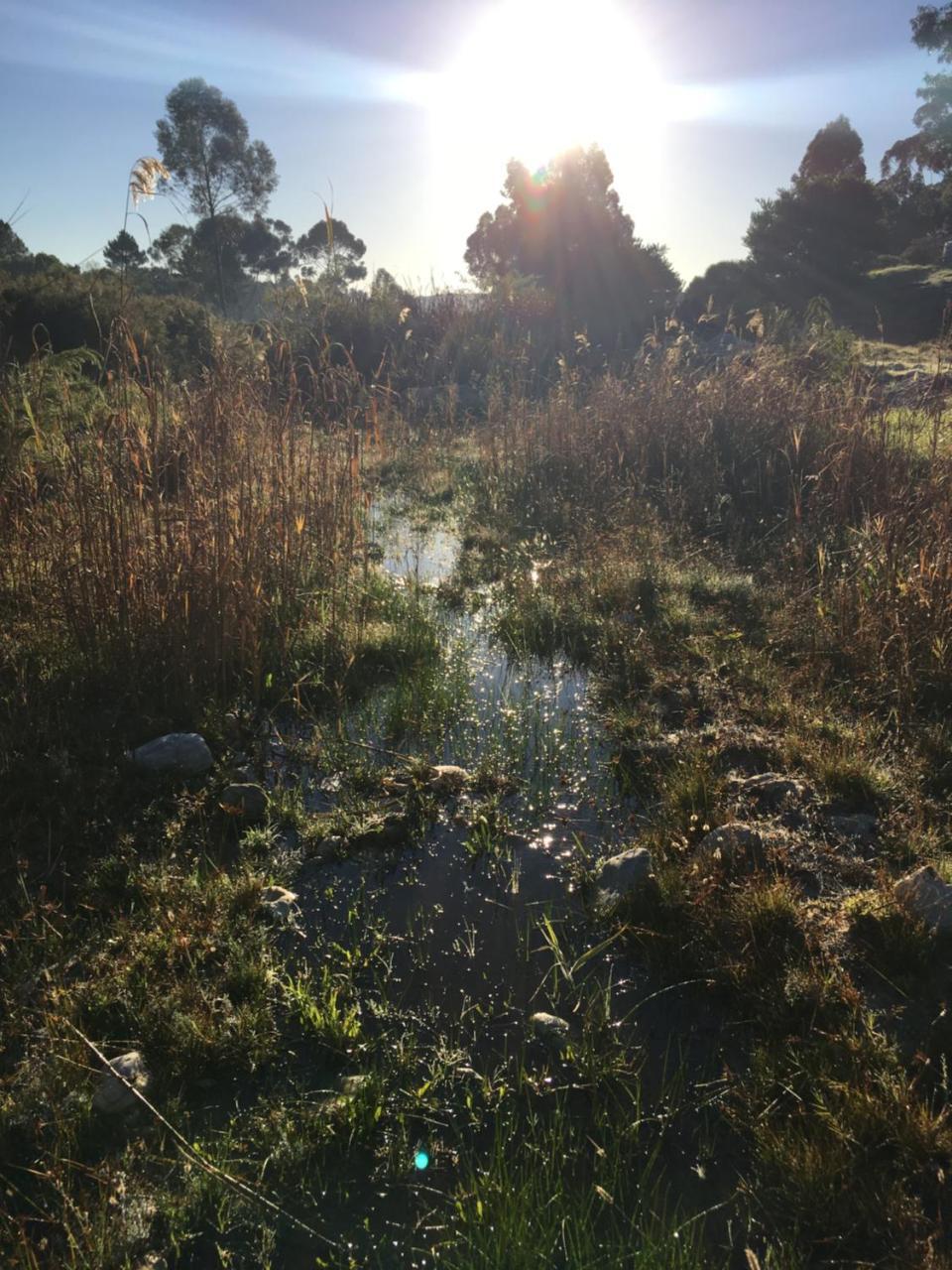 Stellar Overberg Travellers Lodge Napier Extérieur photo