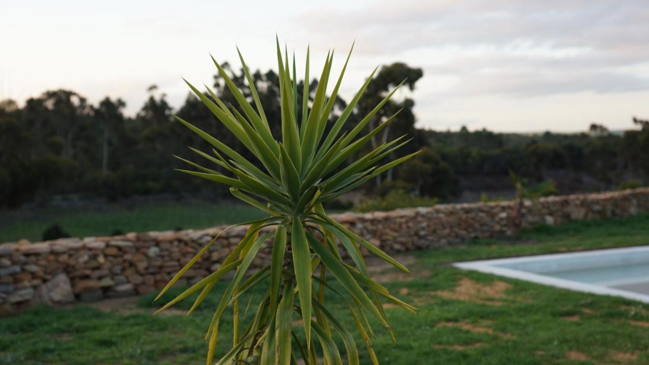 Stellar Overberg Travellers Lodge Napier Extérieur photo