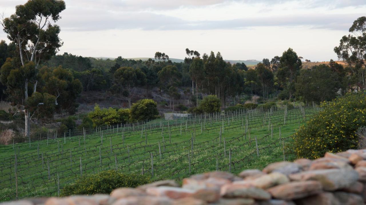 Stellar Overberg Travellers Lodge Napier Extérieur photo